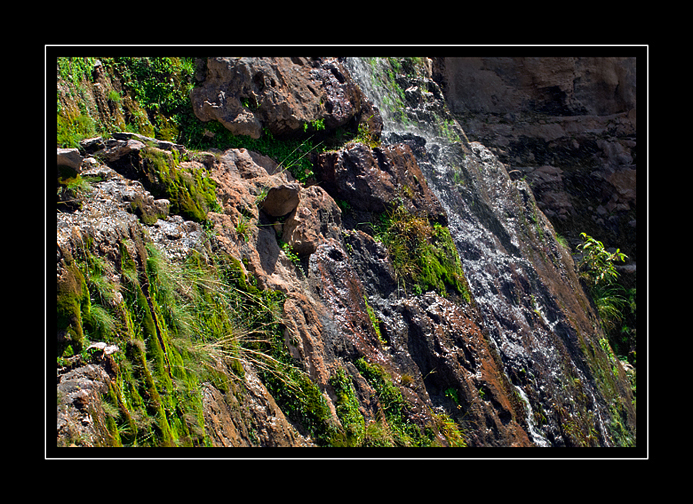 Moss & running water