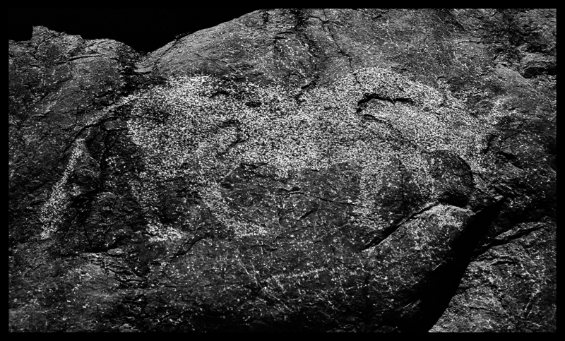 Rock Art - bull