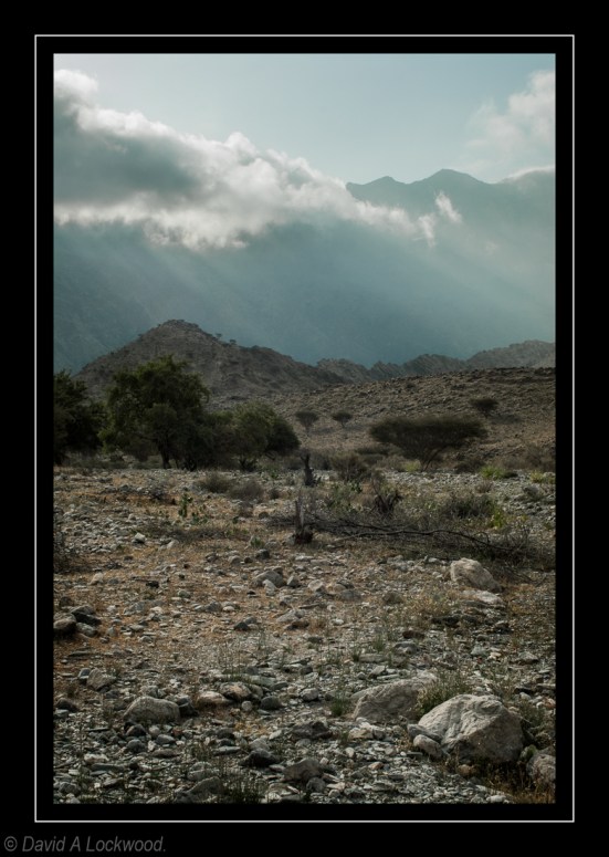 Wadi - early evening 4