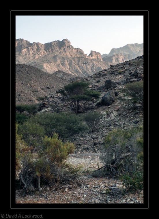 Wadi - early evening