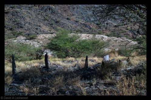 Very early Islamic graves