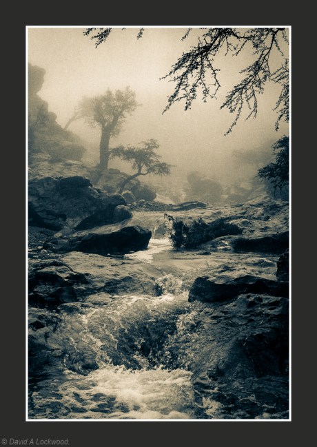 Fog after storm Shams