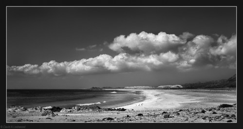 Masirah Beach in B&W