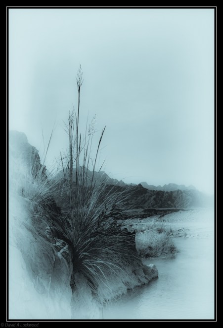Rushes diffused & toned