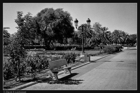 Nikon F - test film No2