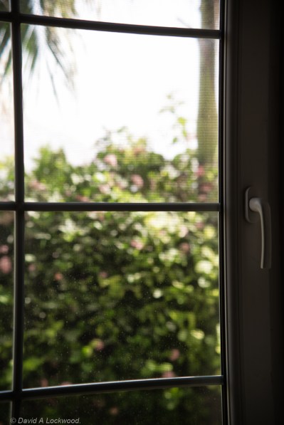 43-86 AIs Nikkor 43mm @ f5.6