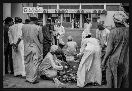 muttrah-fish-souk