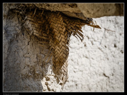 palm-frond-building-material