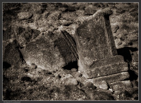 Al Baleed. Al Baleed.