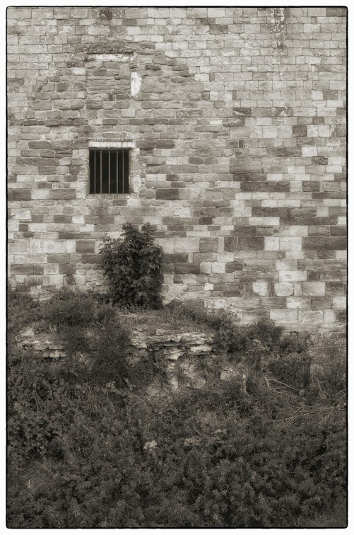 Another from Ludlow Castle.